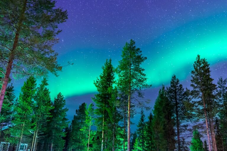Northern lights over a snowy pine forest at night – Arctic shamanic journey
